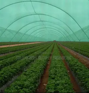 Quality Shade Net