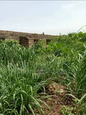 Full Plot Of Land For Sale Off Ago Palace Way