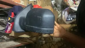F150 Side Mirror 2017
