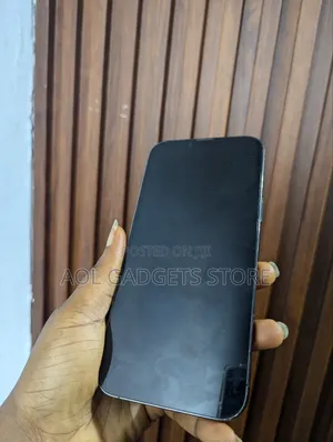 Apple iPhone 13 Pro Max 256 GB Gray