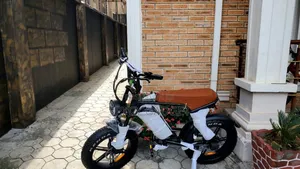 New Motorcycle 2011 Black