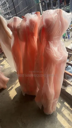 Plastic Armless Female Display Mannequin