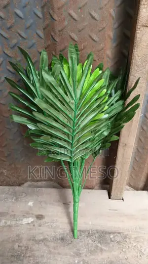 Single Palm Leaf Available