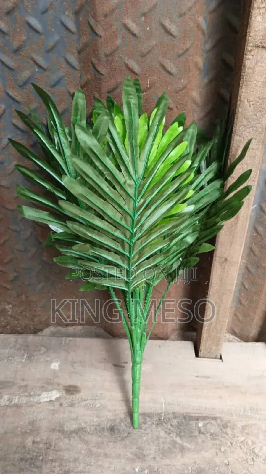 Single Palm Leaf Available