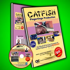 Catfish Fingerlings Production Book + Dvd