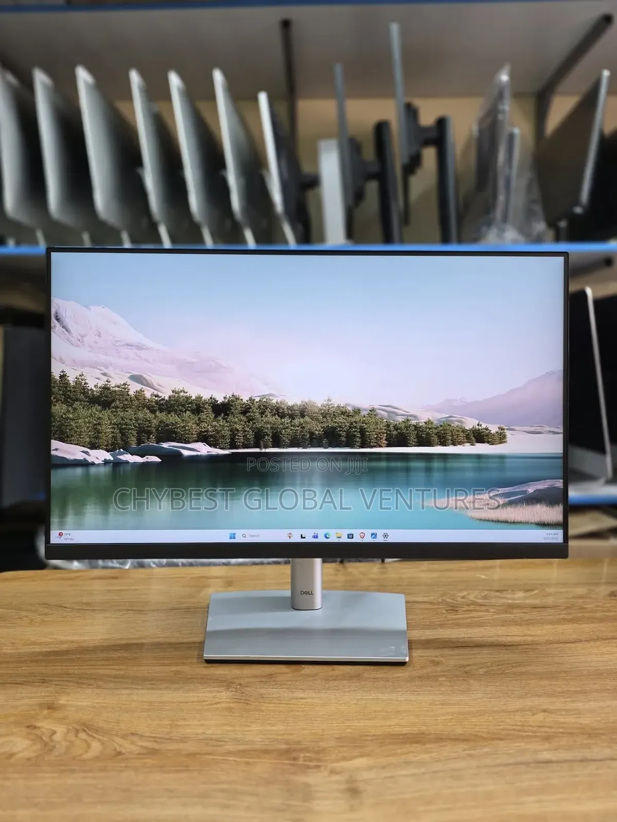 Dell Ips Flameless Monitor