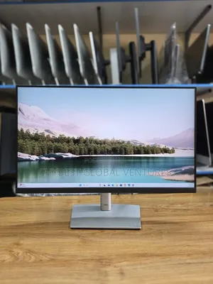 Dell Ips Flameless Monitor