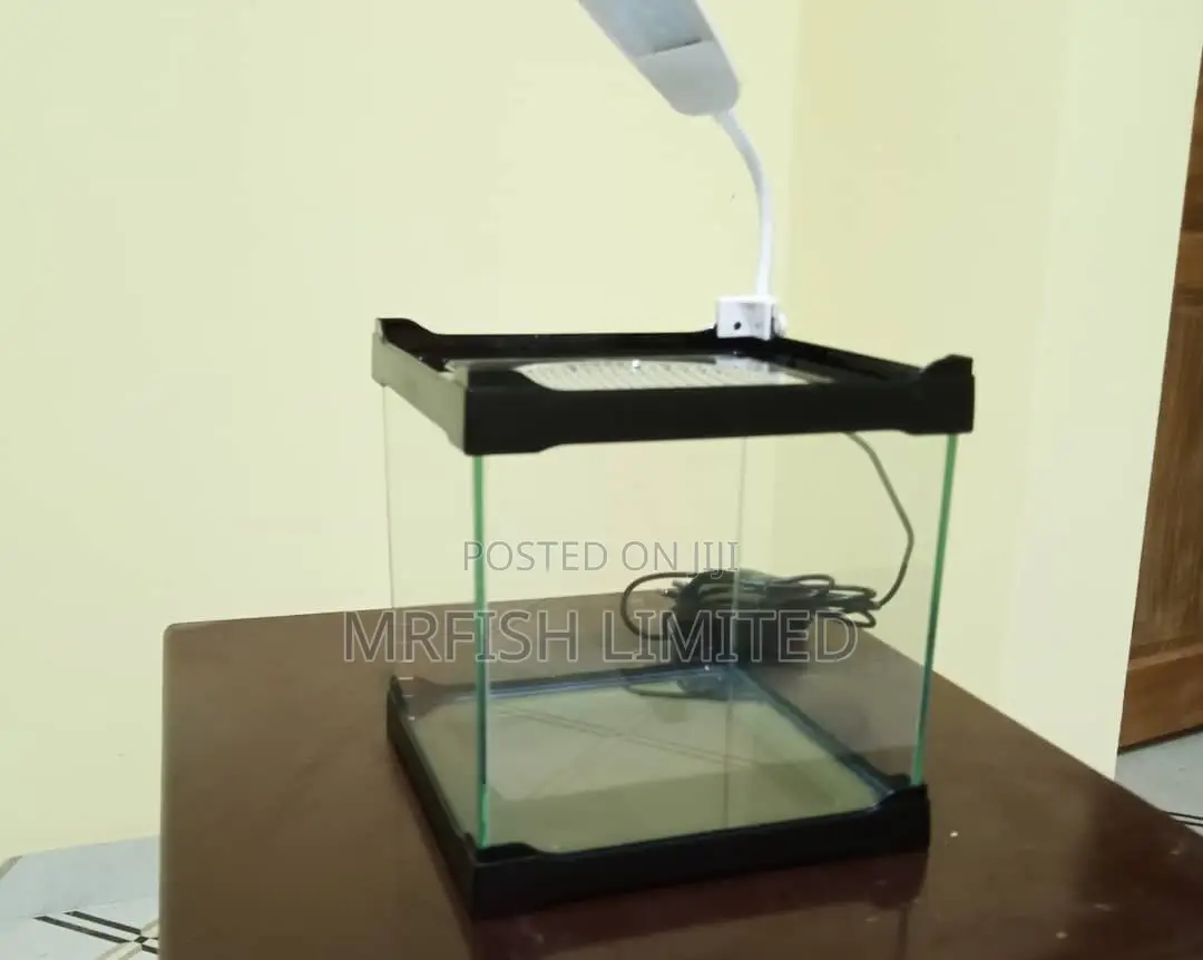 Table Top Aquarium