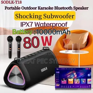Sodlk T18 Bluetooth Wireless Speakers With 2 Microphones