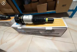 Balloon Shock Audi