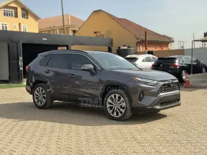 Toyota RAV4 Limited 2021 Gray