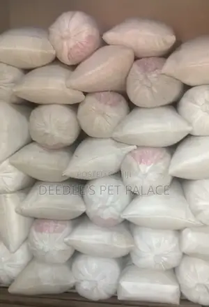 Bag of Dog Noodles