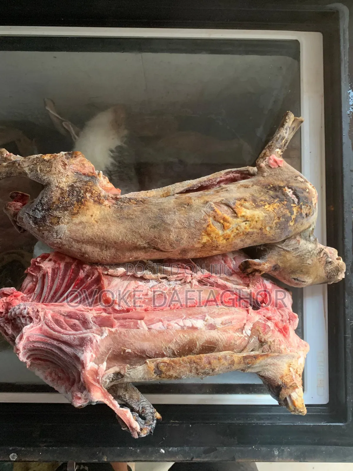 Fresh Meat