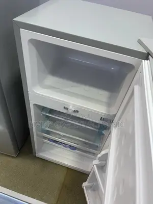 Brand New 85bcd Skyrun Double Door Refrigerator