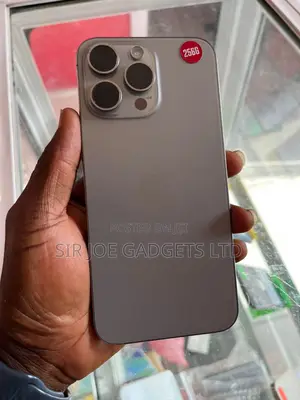 Apple iPhone 15 Pro Max 256 GB Silver