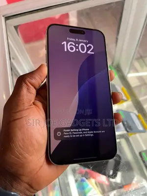 Apple iPhone 15 Pro Max 256 GB Silver