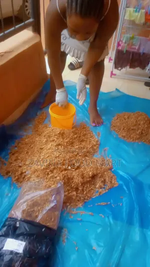 Neatly Sorted Oron Crayfish