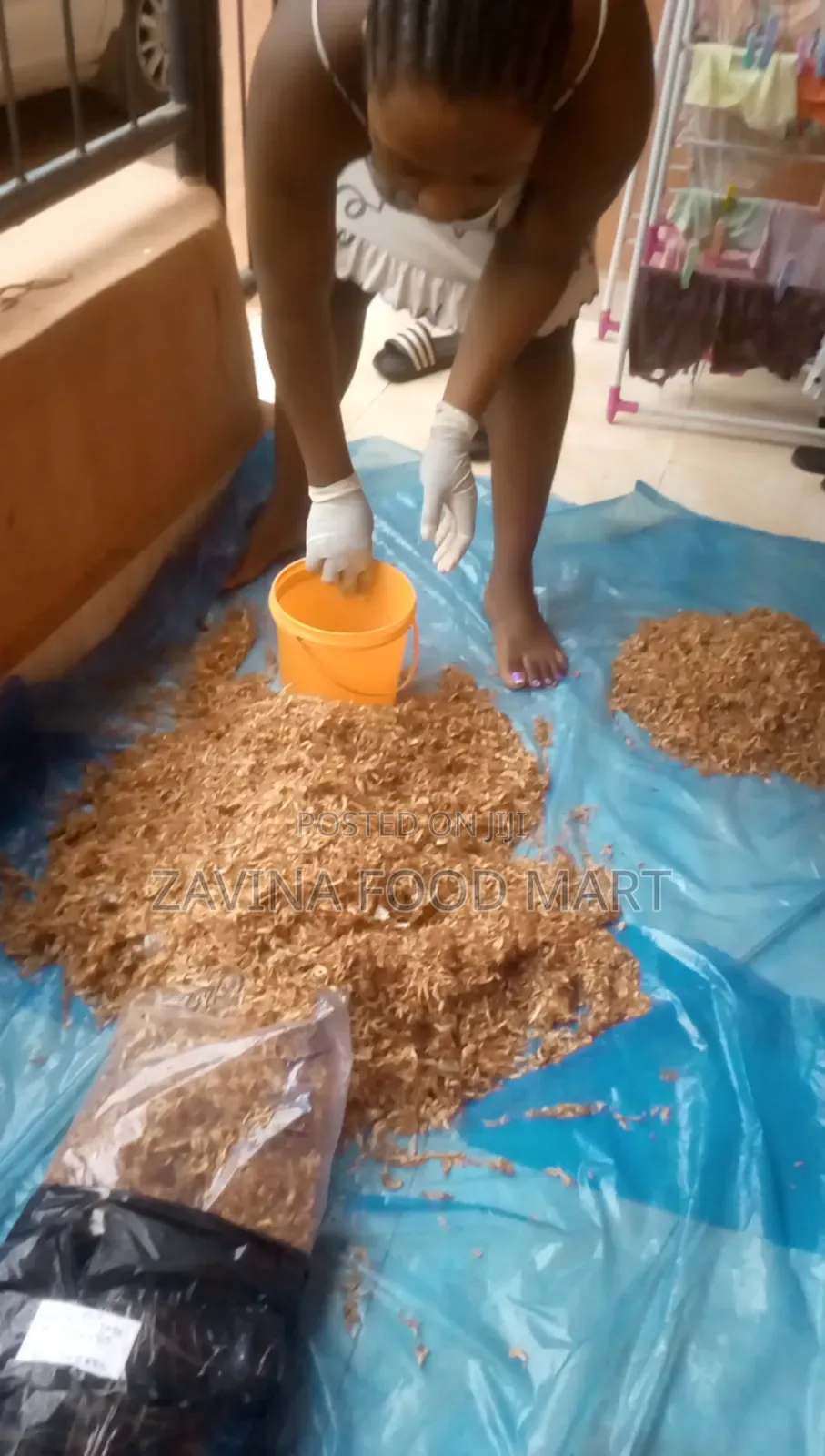 Neatly Sorted Oron Crayfish