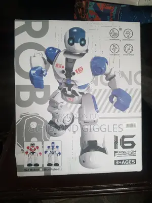 Interactive Dancing Robot