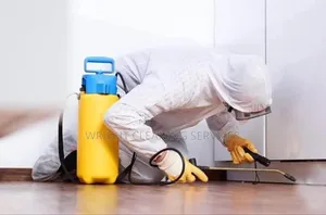 Fumigation and Cleaning Services