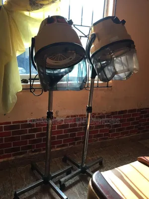 Professional Hair Dryer