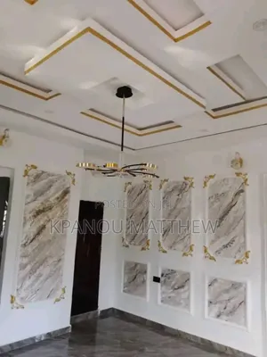 A Professional Painter.