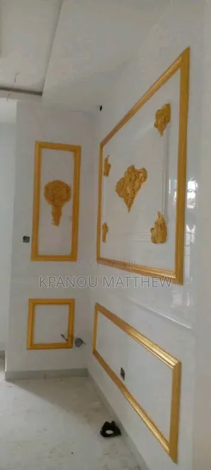 A Professional Painter.