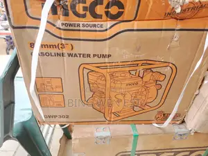 Gasoline Water Pump