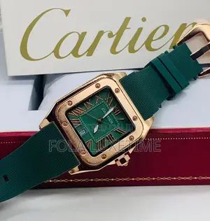 Catier Robber Watch