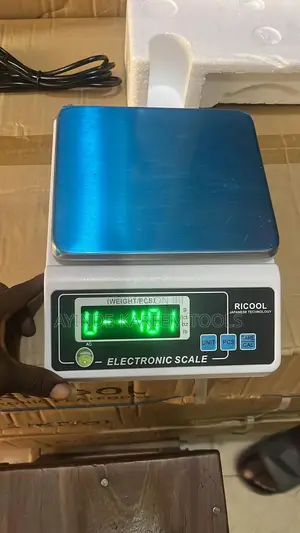 Electronic Scale