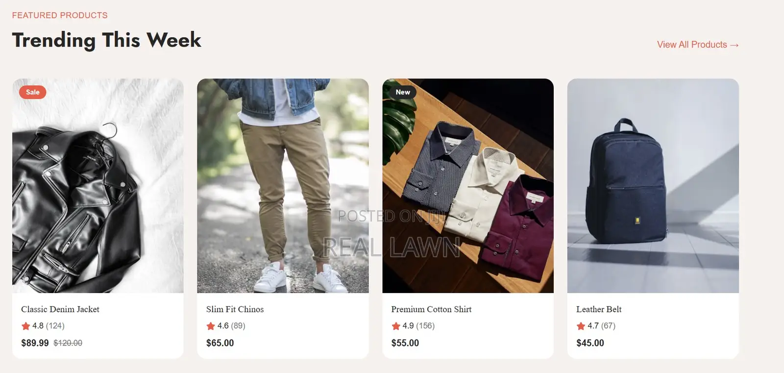 E-Commerce Website Development for Online Businesses (See Demo First)