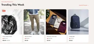 E-Commerce Website Development for Online Businesses (See Demo First)