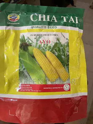 Chia Tai Ayo Sweetcorn