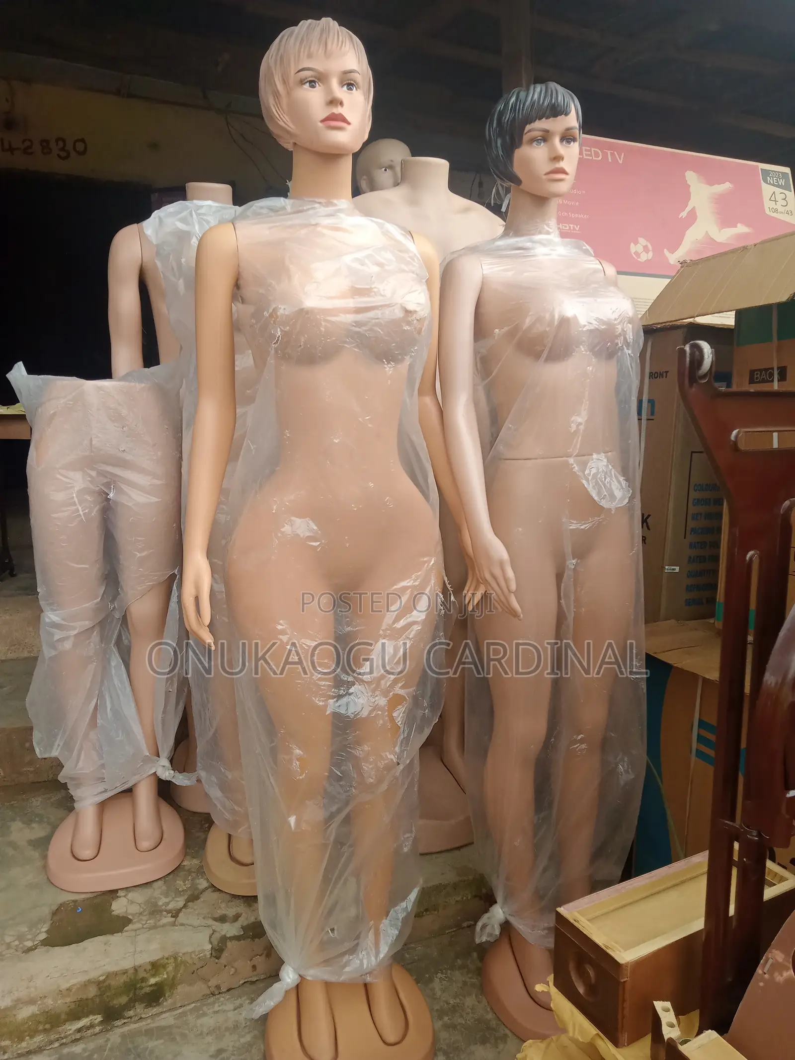 Brand New Mannequins Available In Wholesale And Retail Quantity
