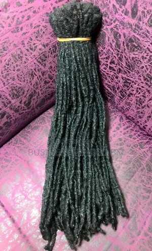 Full Healthy Dreadlock Hair