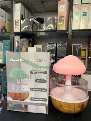 Rain Aromatherapy Humidifier