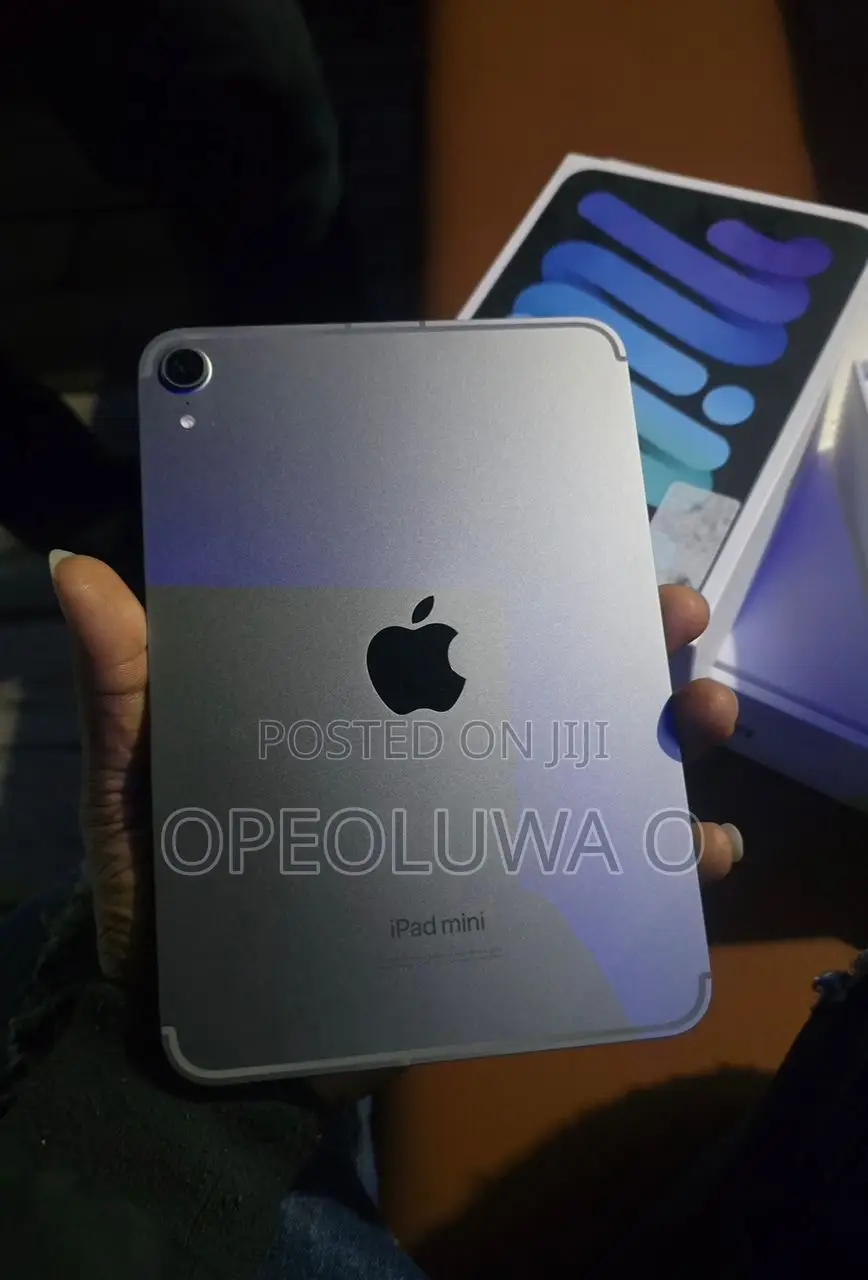 Apple iPad mini (2024) 256 GB Gray
