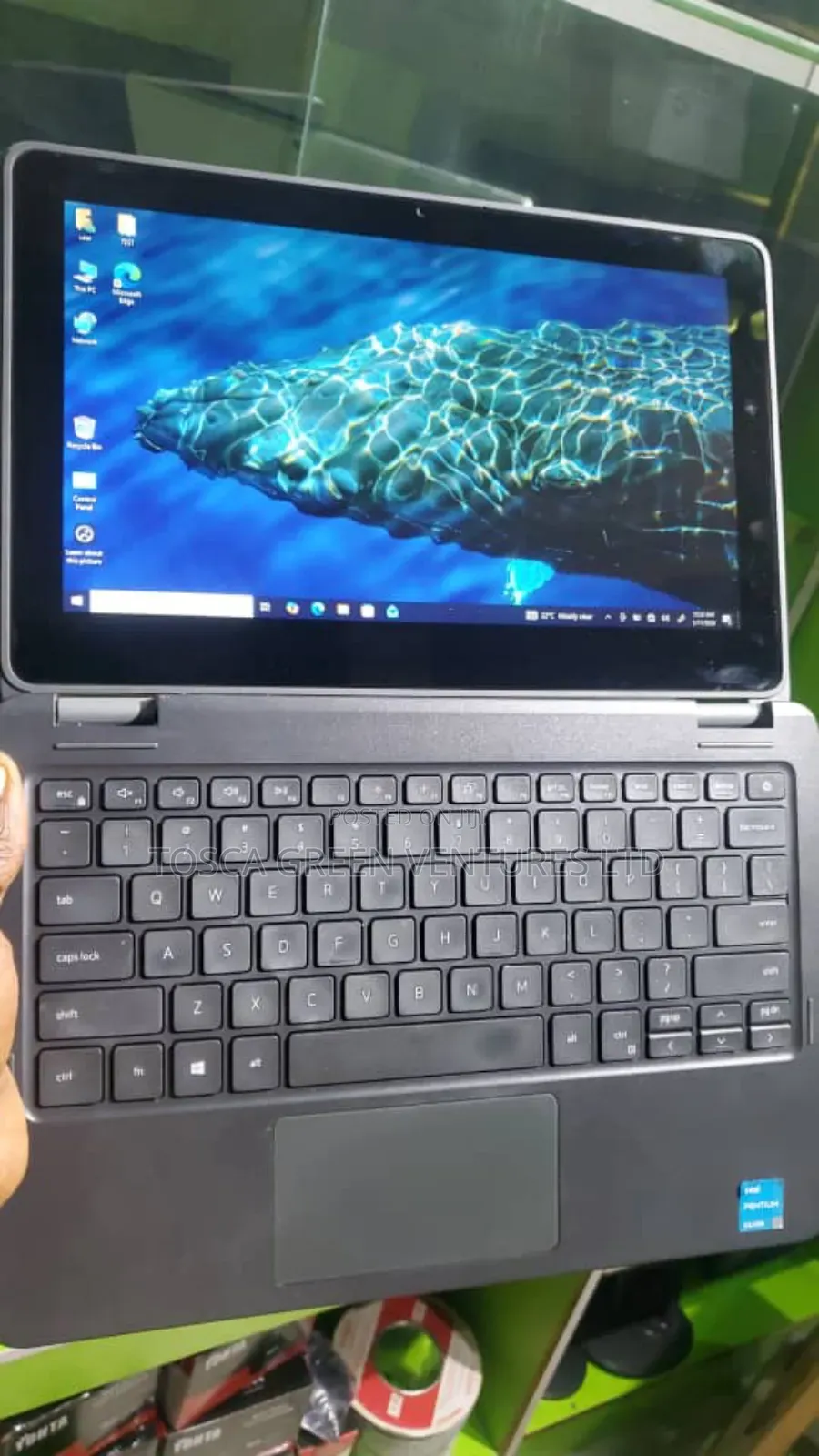 Laptop Dell Latitude 3120 4GB Intel Pentium SSD 128GB
