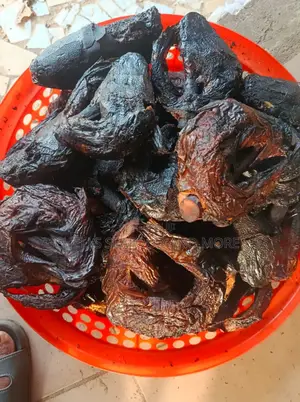 Neatly Dried River Catfish.