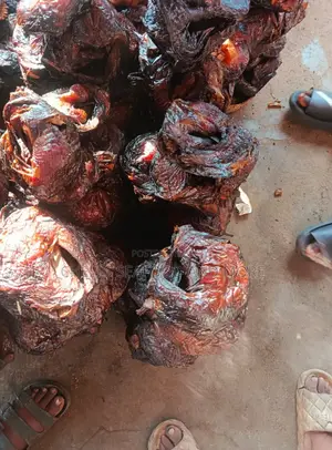 Neatly Dried River Catfish.