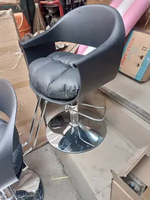 Salon Chair