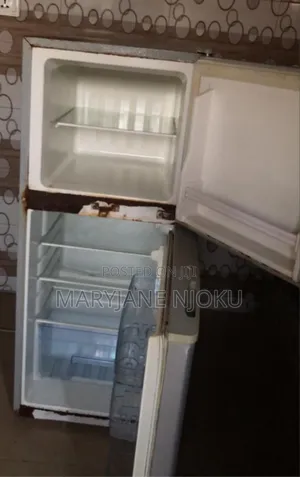 Nexus Fridge (Cooling Can Be Fixed)