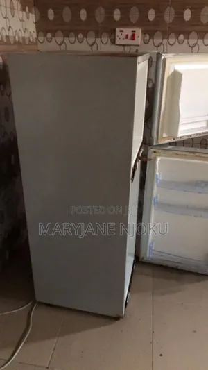 Nexus Fridge (Cooling Can Be Fixed)