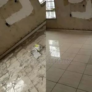 Cleaning Perfect