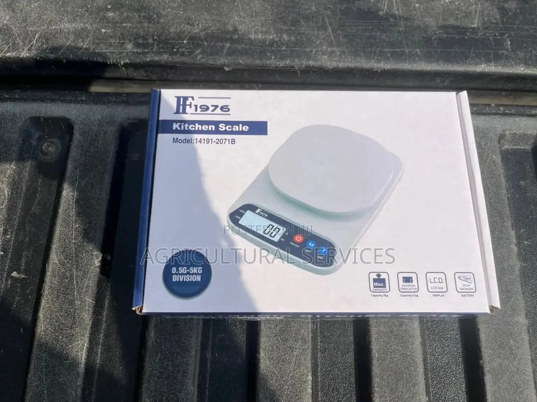 Kitchen Scale