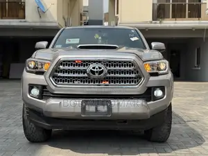 Toyota Tacoma 2017 Gray