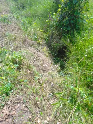11 Plots of Land for Sell