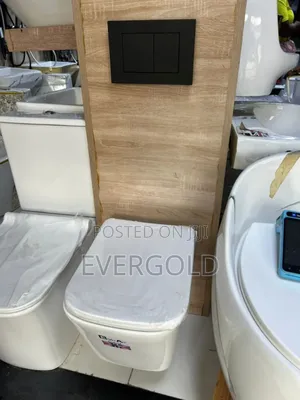 White Conceal Water Closet With Black Flushing Button Available