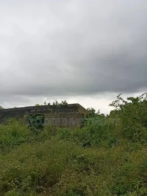 Full Plot of Land for Sale With Governor's Consent