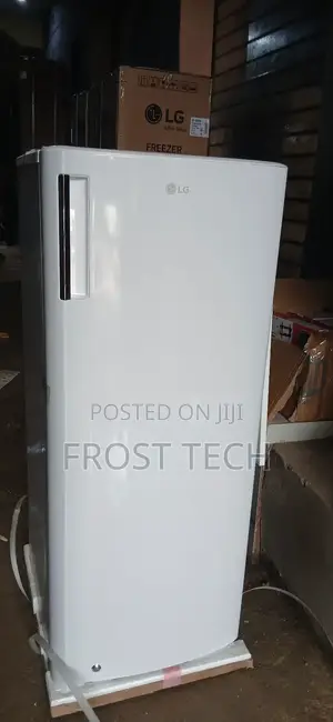 Original Lg Inverter Upright Freezer Gn-304 Ice Block Freezer